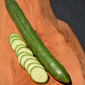 Plant Photo 10